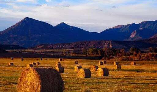 生物質(zhì)發(fā)電作為新世紀(jì)的可替代能源之一，發(fā)展?jié)摿驮鏊賹⒂瓉砀叻???