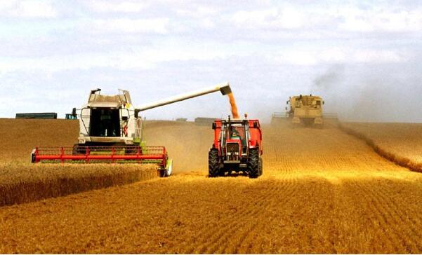 秋糧連續(xù)第六年糧食產(chǎn)量穩(wěn)定在6億噸，有信心應(yīng)對(duì)國(guó)內(nèi)外各種經(jīng)濟(jì)風(fēng)險(xiǎn)?