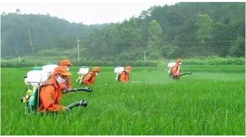 農(nóng)藥行業(yè)仍然具有較大的發(fā)展空間，高效、低毒、低殘留將是其發(fā)展方向