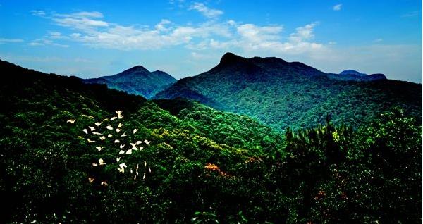 花都區(qū)出臺(tái)“白金十條”促進(jìn)旅游產(chǎn)業(yè)發(fā)展，最大一項(xiàng)政策獎(jiǎng)勵(lì)達(dá)2000萬元???