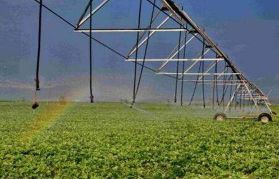 中共中央辦公廳、國務(wù)院辦公廳印發(fā)《關(guān)于促進(jìn)小農(nóng)戶和現(xiàn)代農(nóng)業(yè)發(fā)展有機(jī)銜接的意見》