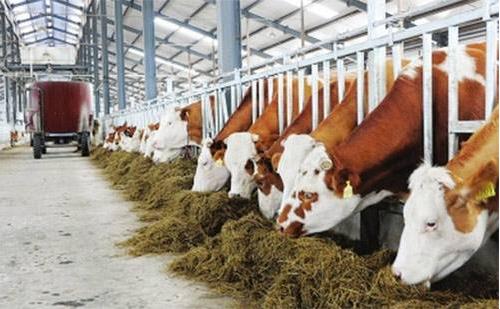 專業(yè)化、環(huán)保化、集約化和規(guī)模化是畜牧業(yè)發(fā)展必然趨勢