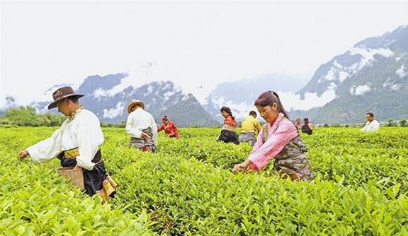 截至2018年底，西藏貧困人口已降至15萬人，貧困發(fā)生率下降到6%以下