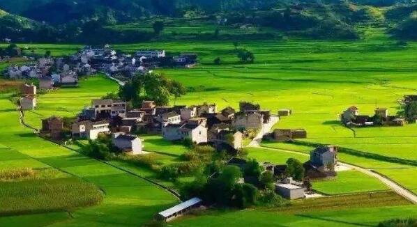 去年全國鄉(xiāng)村旅游總?cè)舜螢?0.9億人次，同比增加9.7%