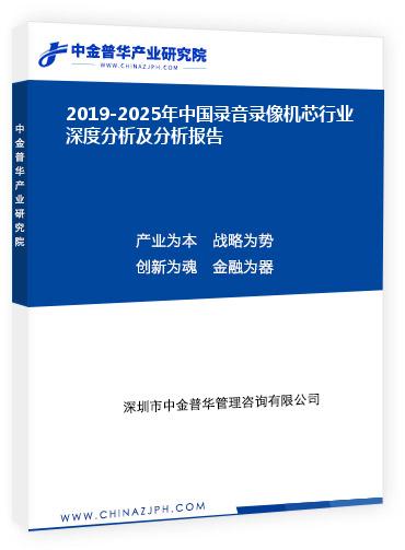 2019-2025年中國錄音錄像機芯行業(yè)深度分析及分析報告