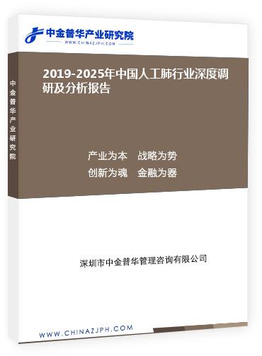 2019-2025年中國人工肺行業(yè)深度調研及分析報告