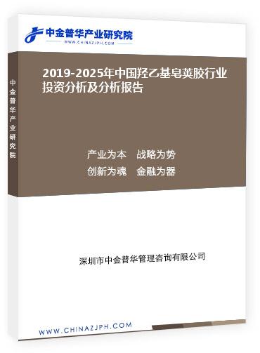 2019-2025年中國羥乙基皂莢膠行業(yè)投資分析及分析報(bào)告